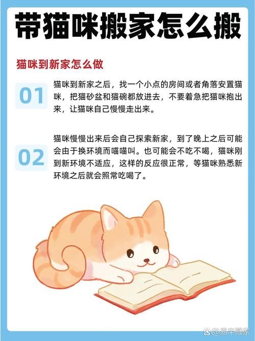 逃出可爱猫咪房间全关卡 详细图文教程带你过关