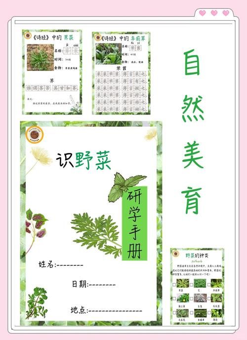 野菜部落还能玩吗怀旧玩家必看攻略