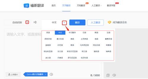 金山翻译在线翻译支持哪些语言 常见语种全解析