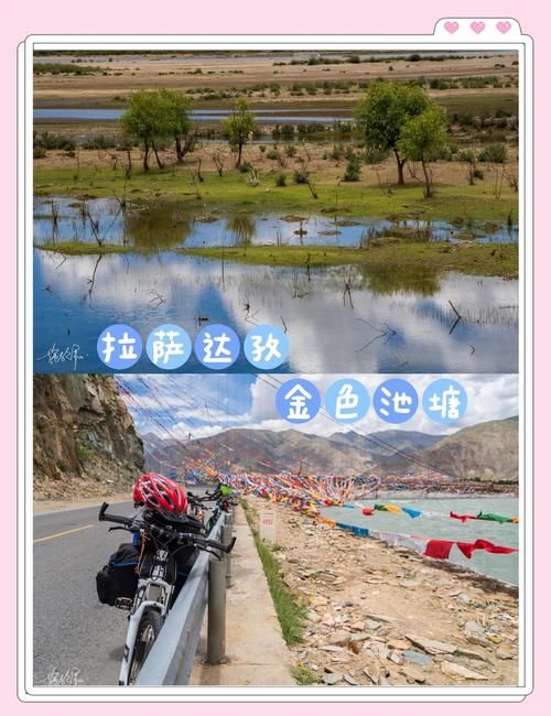 金色骑乘牦牛缰绳使用技巧 提升骑乘体验必备