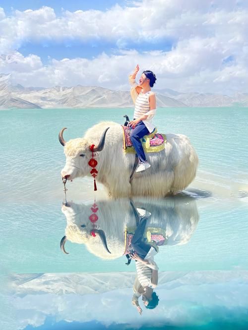 金色骑乘牦牛缰绳使用技巧 提升骑乘体验必备