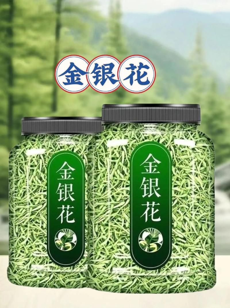 金银花的所有作品推荐 哪本最值得一读
