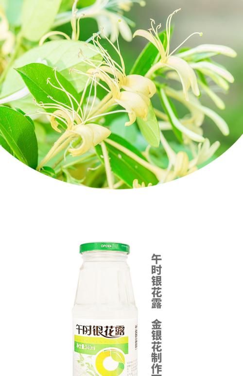 金银花的所有作品推荐 哪本最值得一读