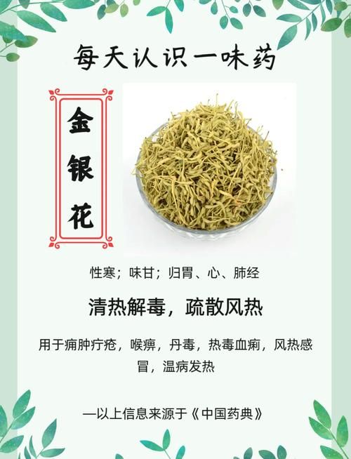 金银花的所有作品推荐 哪本最值得一读