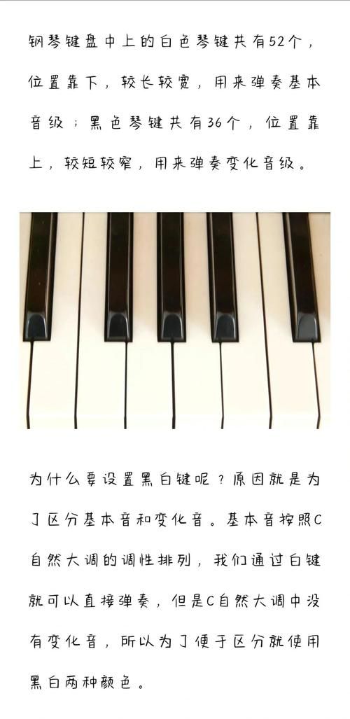 钢琴黑白键宽度一样吗快速了解键盘布局真相