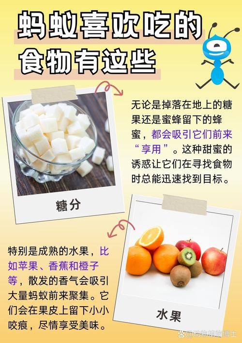 长期吃素蚂蚁庄园分享素食生活的3个实用技巧