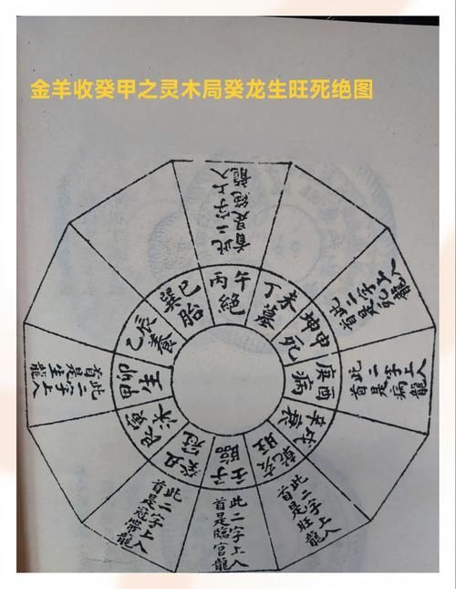 问道黄金罗盘任务流程详解 新手必看指南