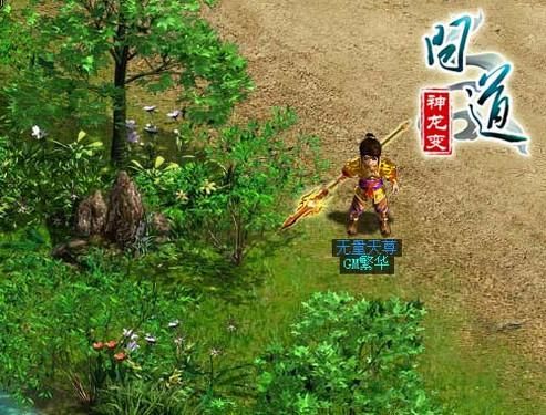 问道黄金罗盘任务流程详解 新手必看指南