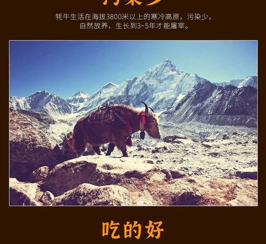 雄壮远足牦牛缰绳的保养方法与注意事项