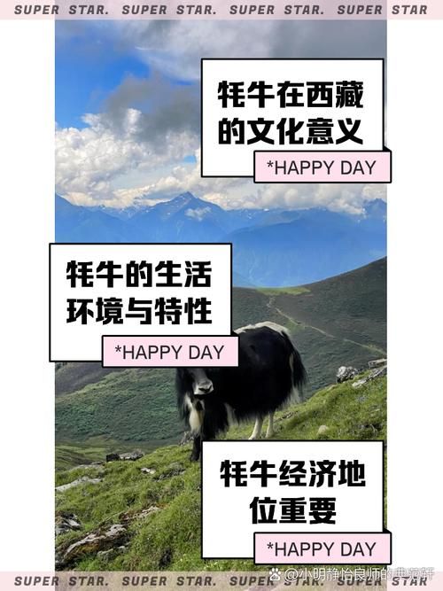 雄壮远足牦牛缰绳的保养方法与注意事项