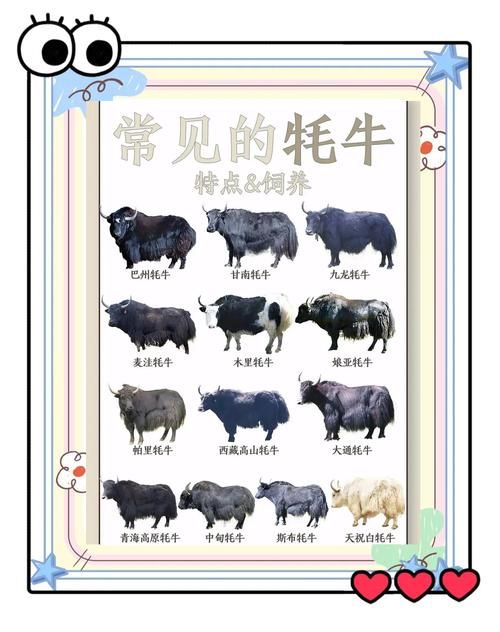 雄壮远足牦牛缰绳的保养方法与注意事项