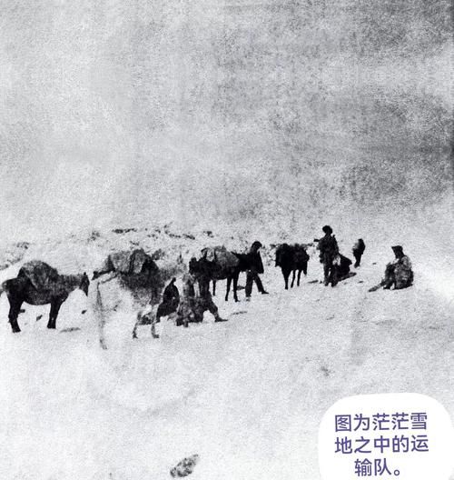 雄壮远足牦牛缰绳的保养方法与注意事项