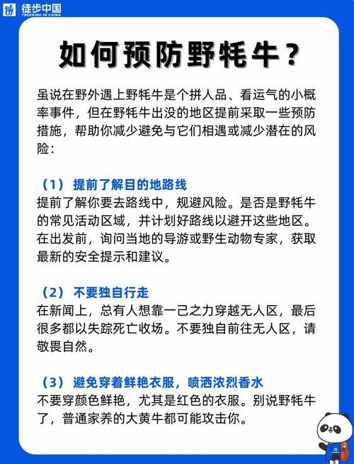 雄壮远足牦牛缰绳的保养方法与注意事项