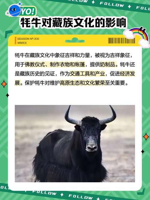 雄壮远足牦牛缰绳的保养方法与注意事项