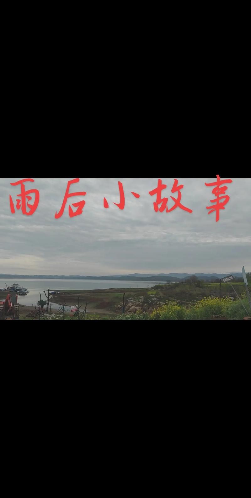 雨后小故事图片合集感受雨后的清新与感动