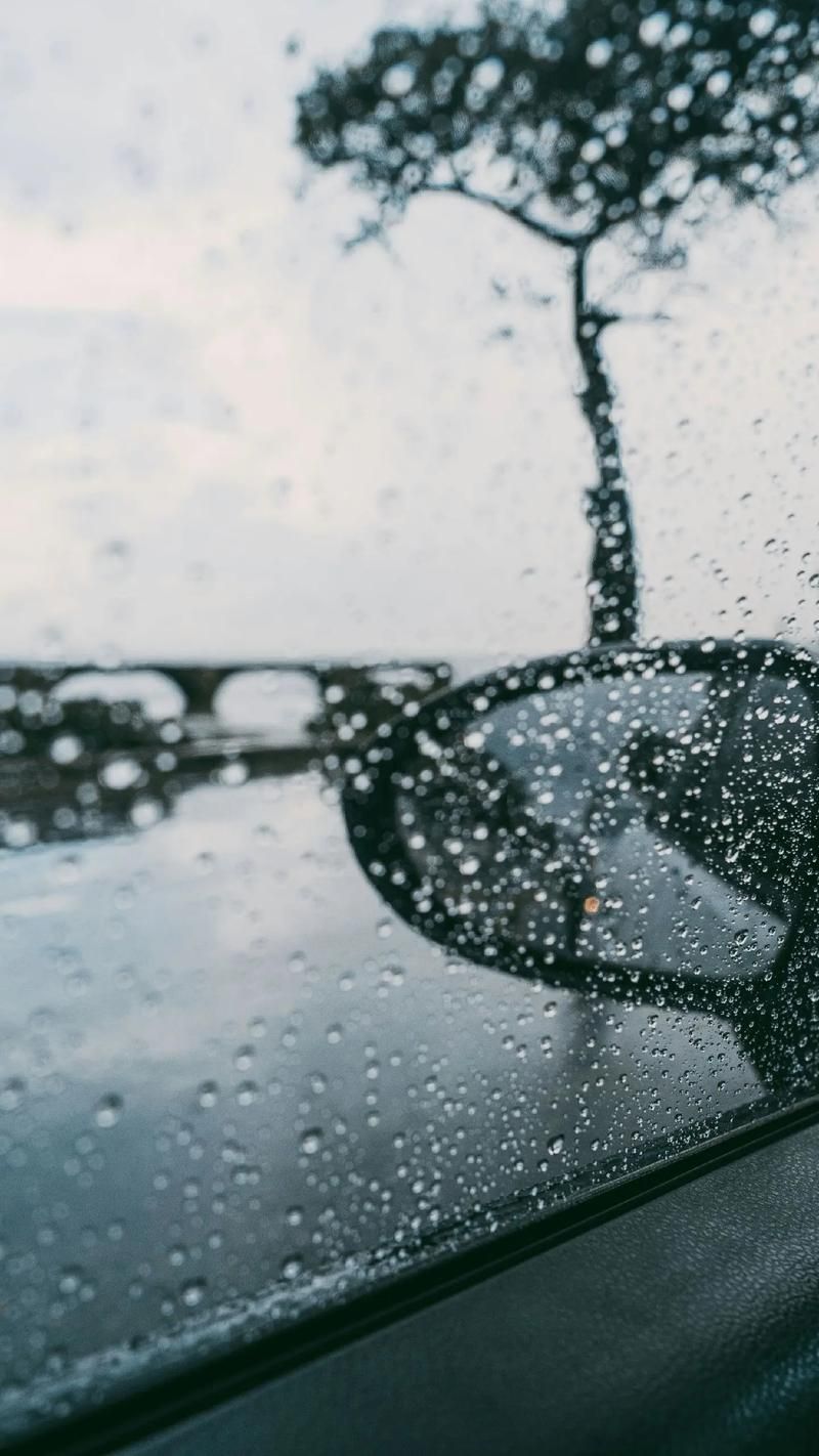 雨后小故事图片合集感受雨后的清新与感动