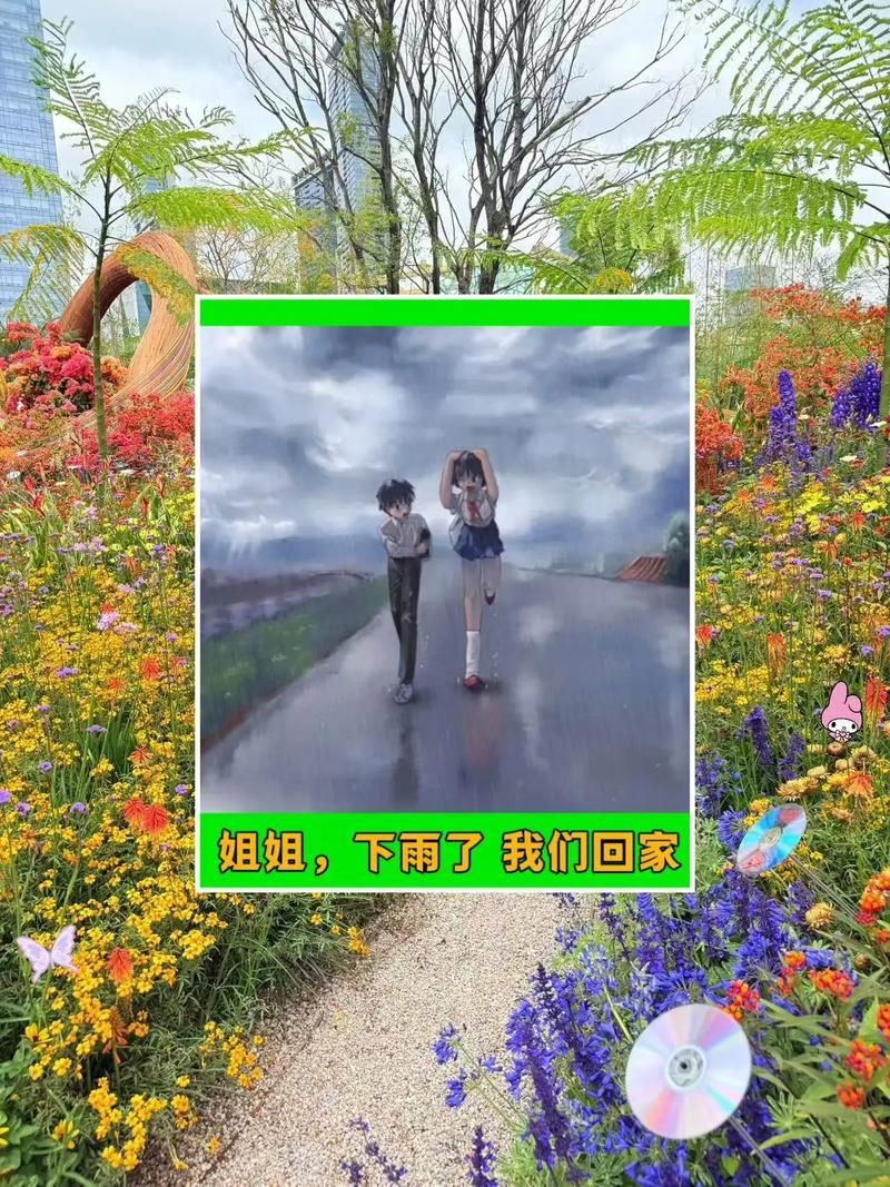 雨后小故事图片合集感受雨后的清新与感动