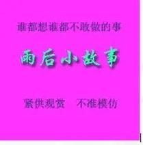 雨后的小故事图片分享 这些画面温暖又治愈