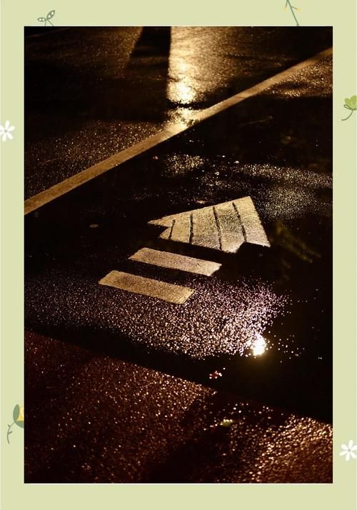 雨后的小故事图片分享 这些画面温暖又治愈