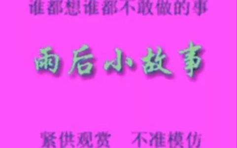 雨后的小故事闪图大全 总有一张打动你的心