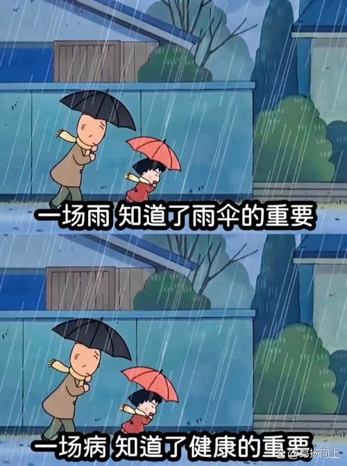 雨后的小故事闪图大全 总有一张打动你的心