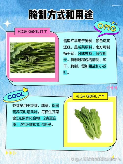 雪菜和雪里红是同一种菜吗揭秘两者关系