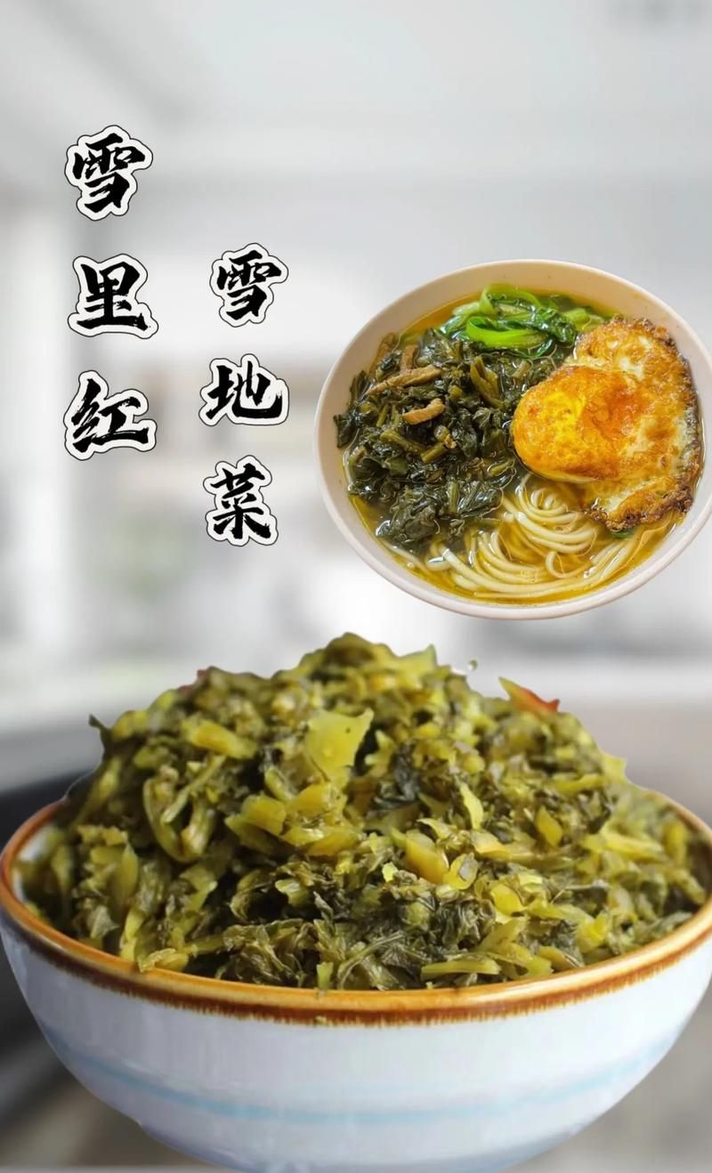 雪菜和雪里红是同一种菜吗揭秘两者关系