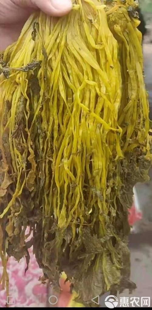 雪菜和雪里红是同一种菜吗揭秘两者关系