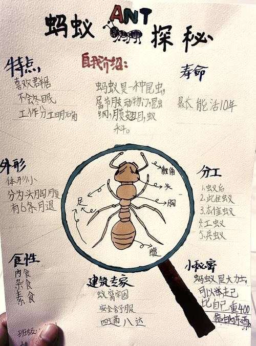 韦编三绝蚂蚁庄园背后有什么历史故事