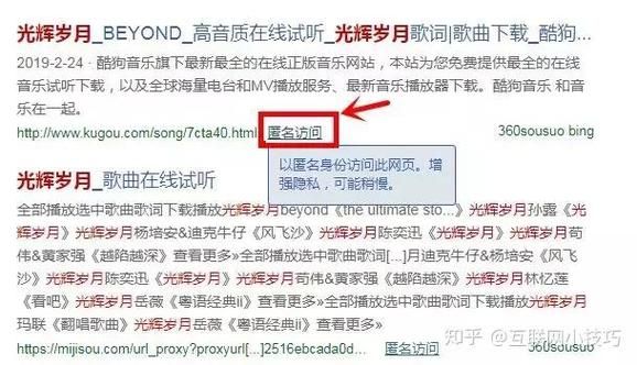 音乐聚合搜索引擎怎么用 新手入门教程分享