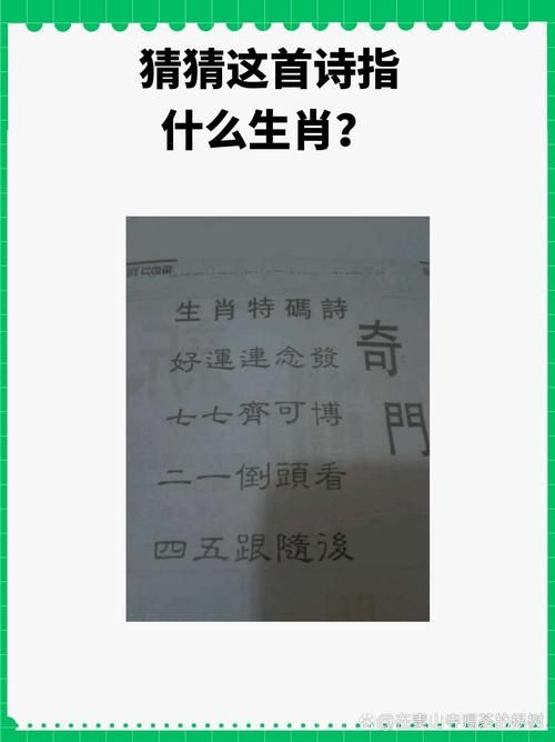风餐露宿打一生肖你猜对了吗快来看