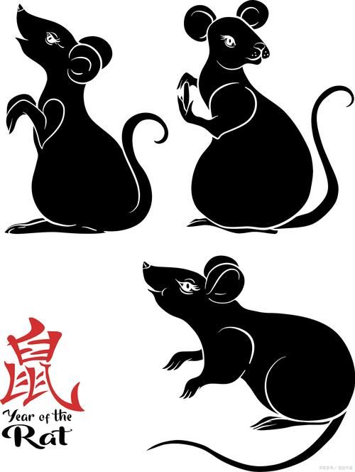 风餐露宿打一生肖你猜对了吗快来看