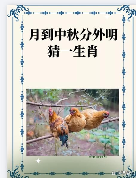 风餐露宿打一生肖你猜对了吗快来看