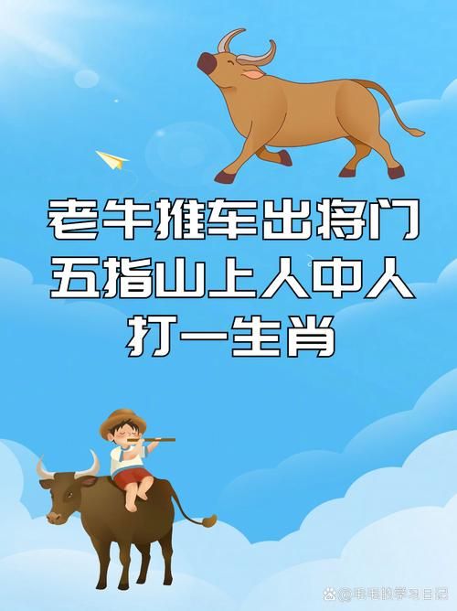 风餐露宿打一生肖你猜对了吗快来看