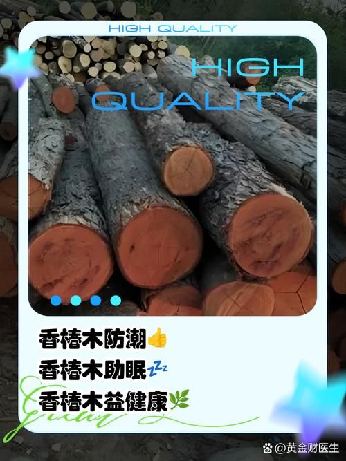 香椿菜属于什么木这种常见野菜的树木来源