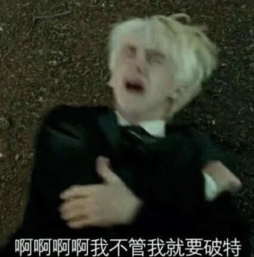 马尔福的入学礼物为何成为众人焦点