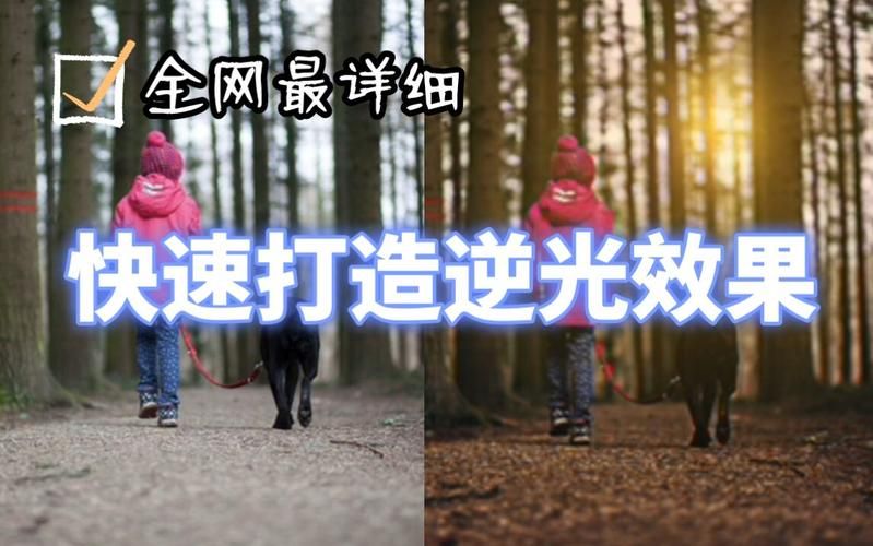 魔兽世界免费代理使用教程 新手也能轻松上手