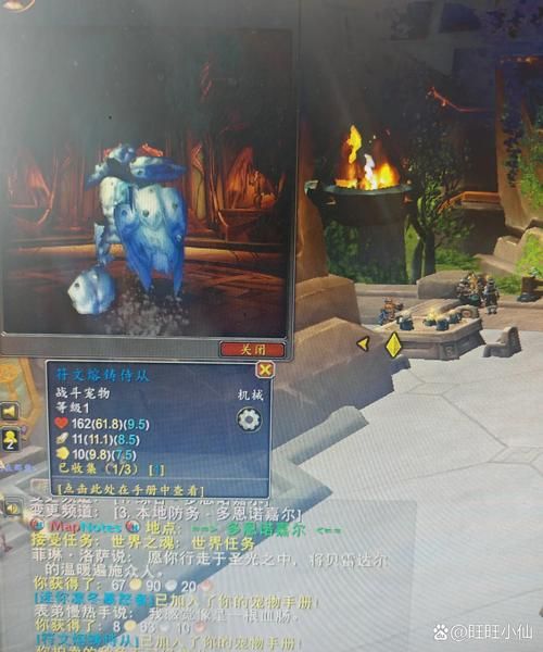 魔兽世界堕落火鹰值得刷吗 堕落火鹰实用性分析