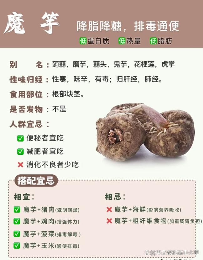 魔芋真的是低能量还是高纤维 营养师告诉你答案