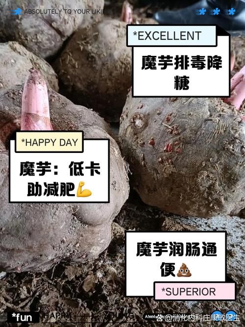 魔芋真的是低能量还是高纤维 营养师告诉你答案