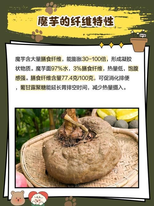 魔芋真的是低能量还是高纤维 营养师告诉你答案