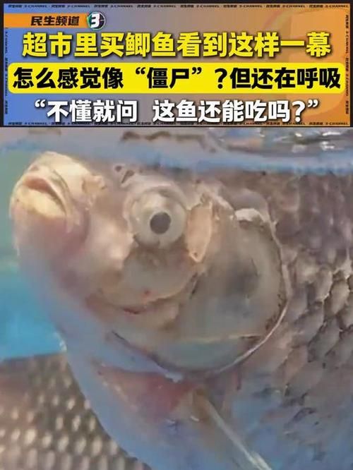 鱼毛骨悚然的蠕动画面 网友直呼太吓人