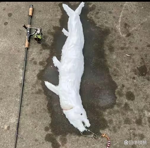 鱼毛骨悚然的蠕动画面 网友直呼太吓人
