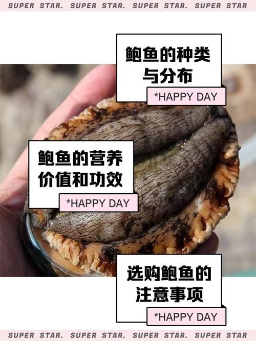 鲍鱼是不是鱼类 专家解答这一常见疑问