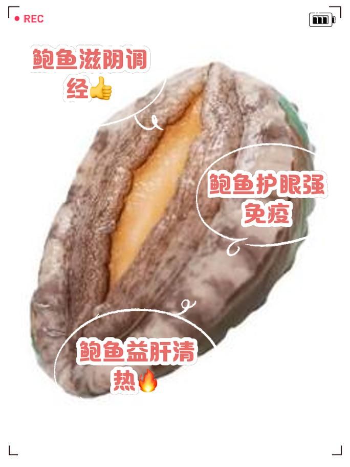 鲍鱼是不是鱼类 专家解答这一常见疑问