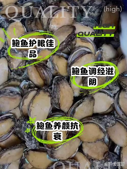 鲍鱼是不是鱼类 专家解答这一常见疑问