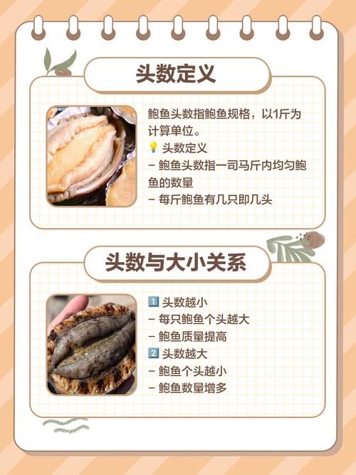 鲍鱼是不是鱼类 专家解答这一常见疑问