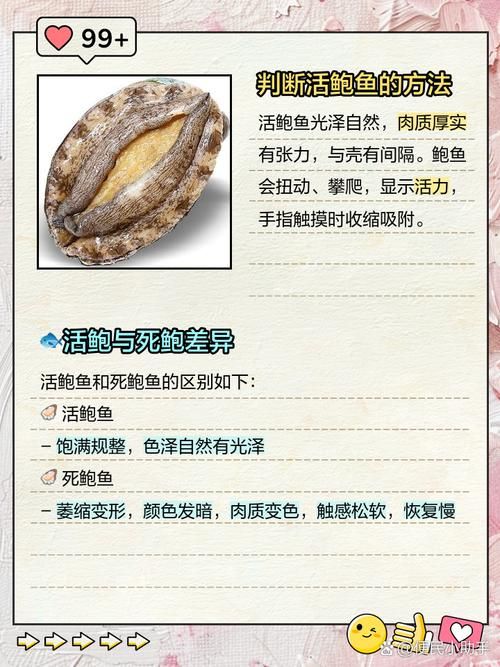 鲍鱼是不是鱼类 专家解答这一常见疑问