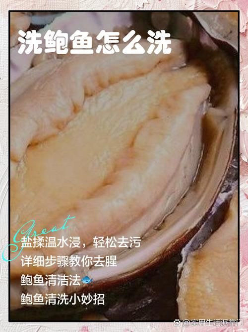 鲍鱼是不是鱼类 专家解答这一常见疑问