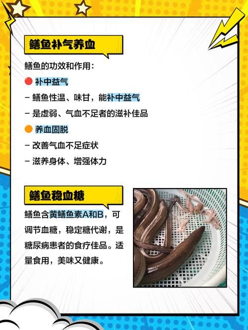 鳝始鳝终什么意思看完你就明白了